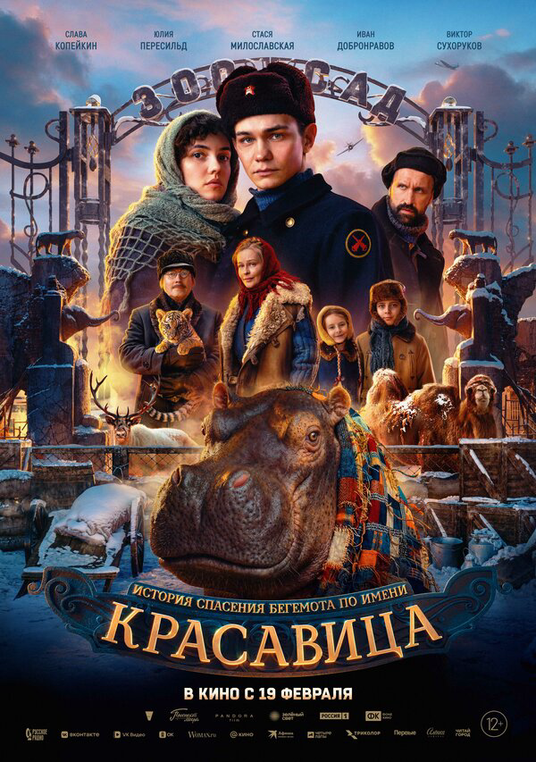 Красавица постер